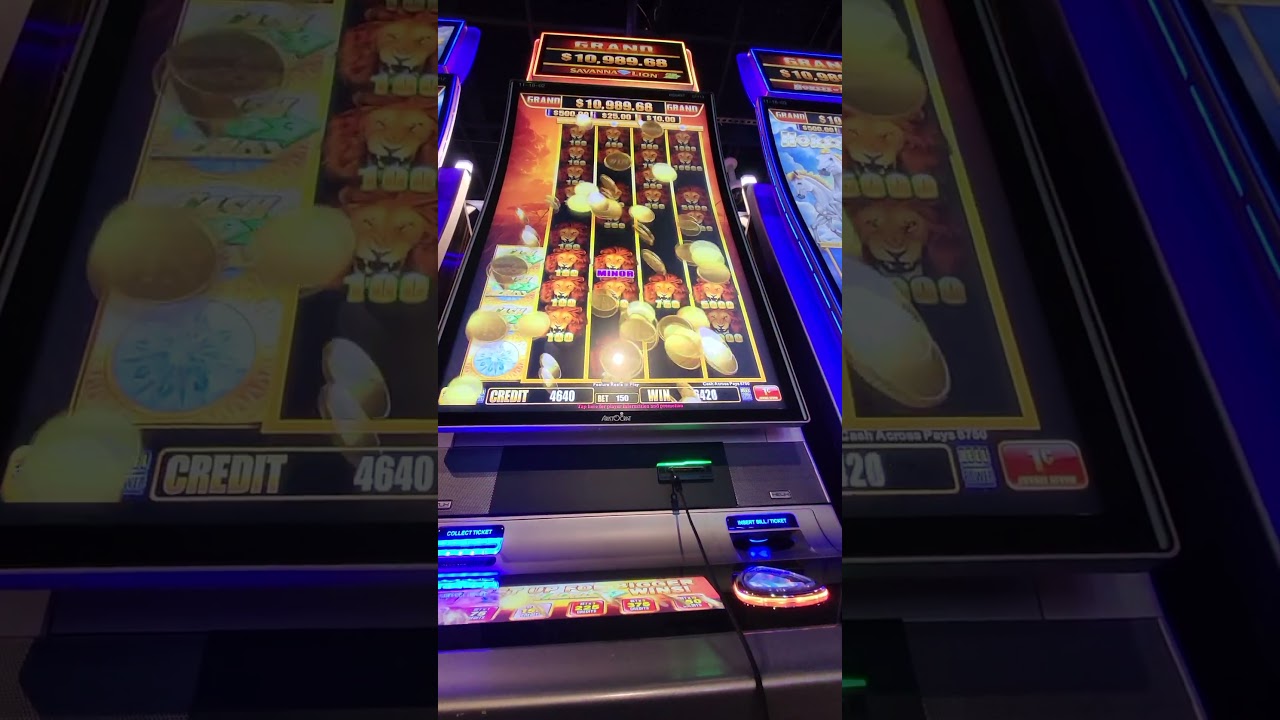 Big Win on Savanna Lion Slot. #shortsfeed #slots #shortvideo #jackpot #shorts Video