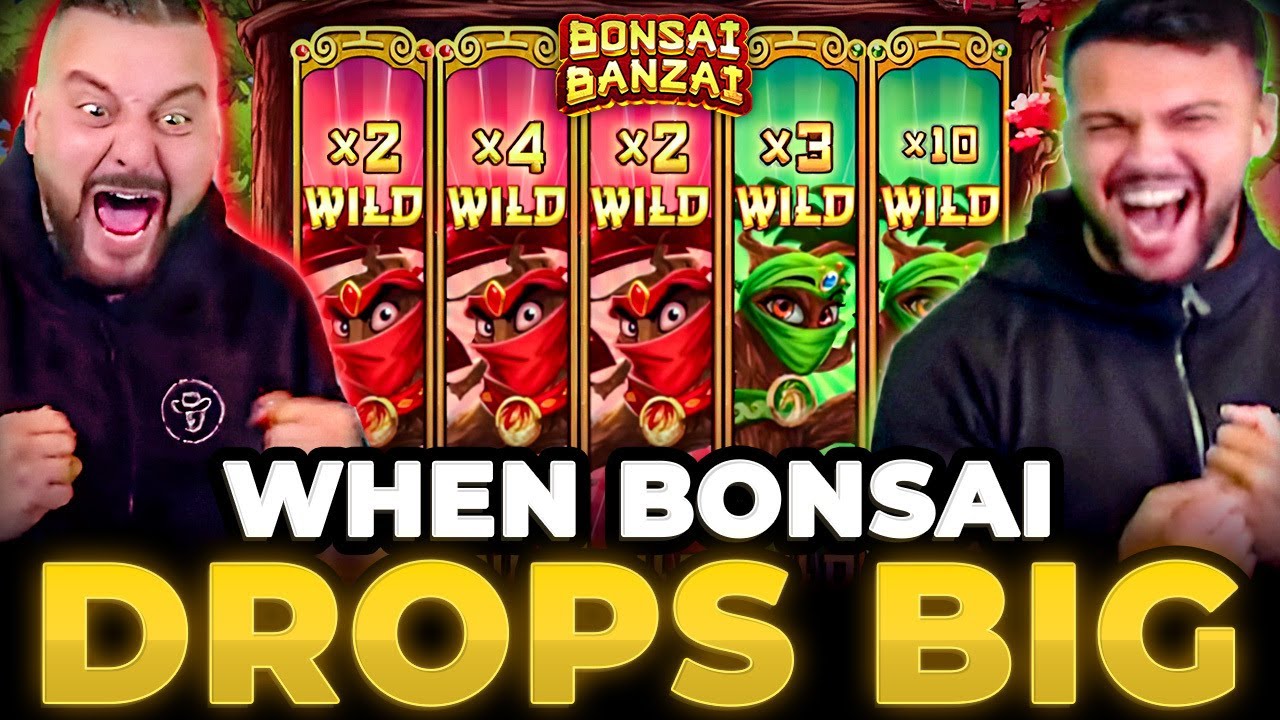 THIS SLOT JUST DELIVERS! Our Biggest Wins on Bonsai Banzai! Video