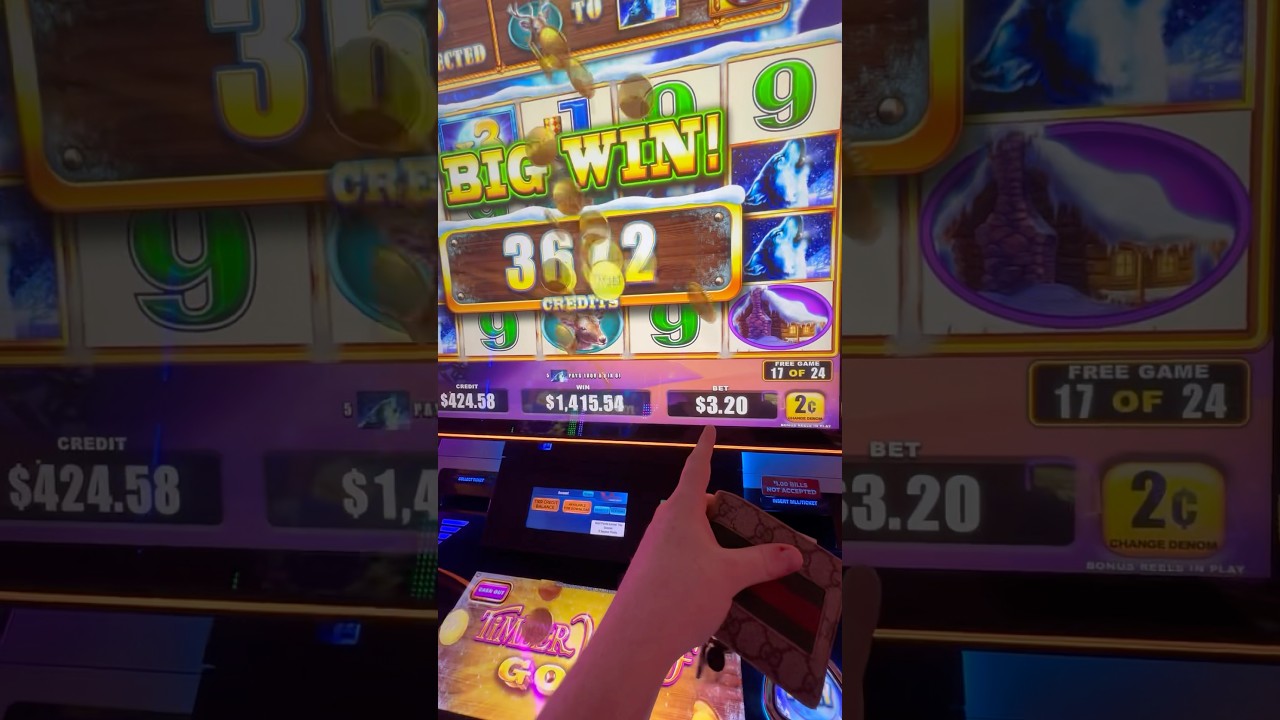 MEGA WIN TIMBER WOLF GOLD! 3.20$ BET! #slot #casino #money #fyp #bigwin #bonus #massivewin #game Video