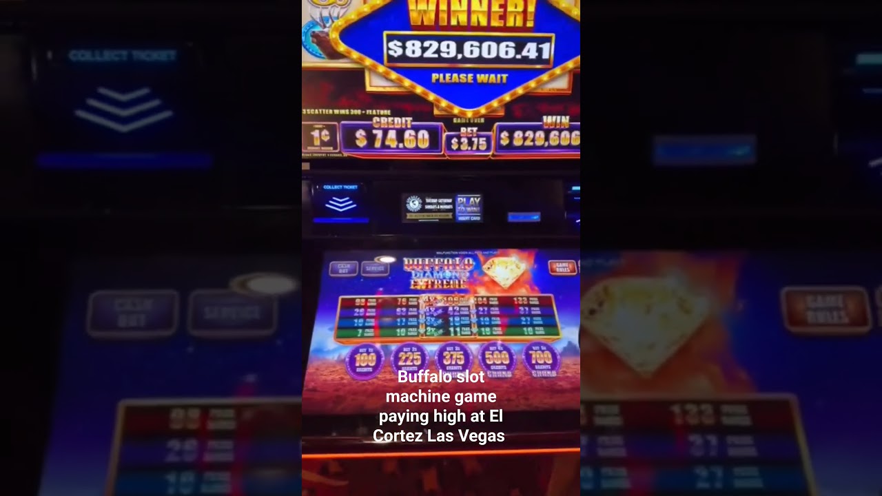 BIG WIN - BUFFALO SLOT MACHINE GAME PAYING AT EL CORTEZ LAS VEGAS lasvegas Video
