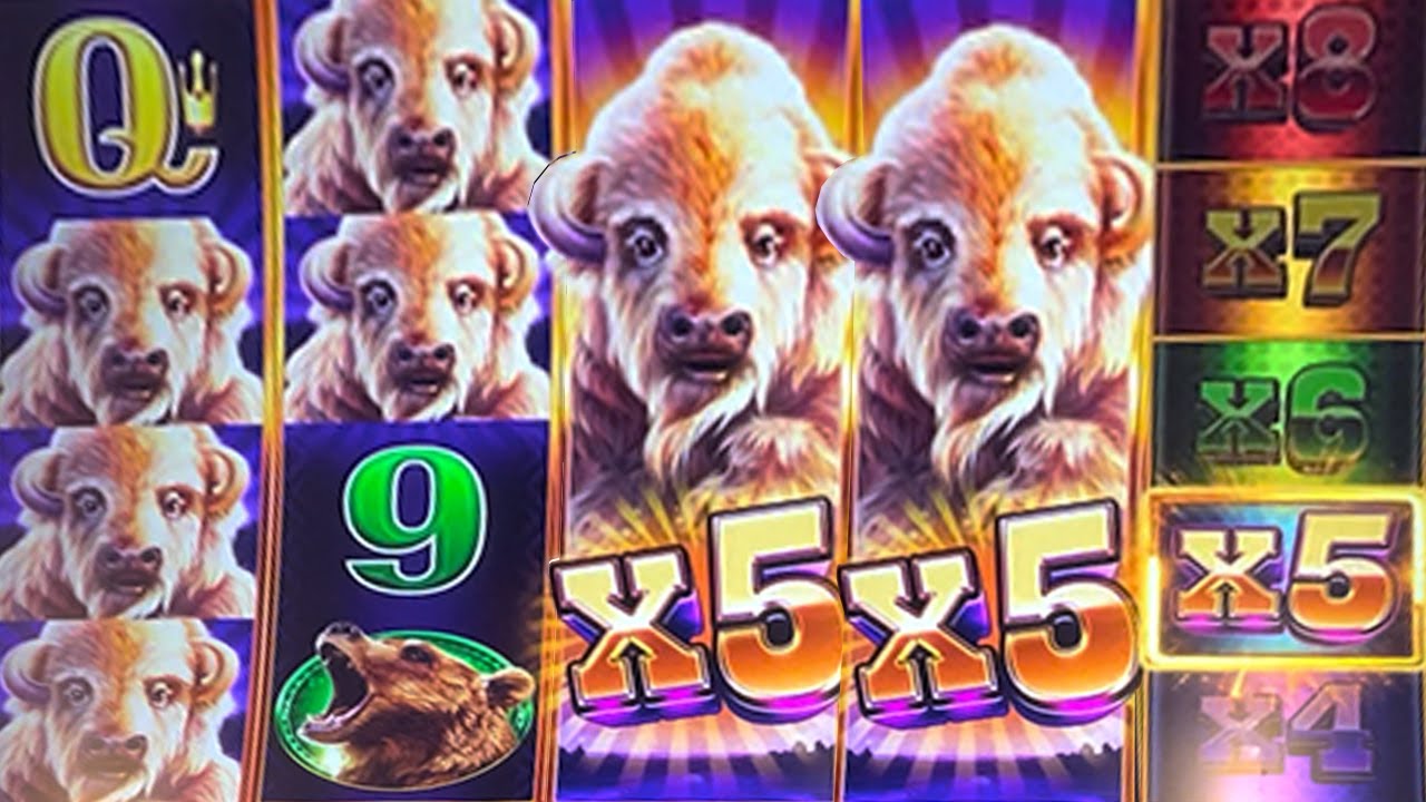 EXTRA BUFFALO ADD UP to BIG WIN Video