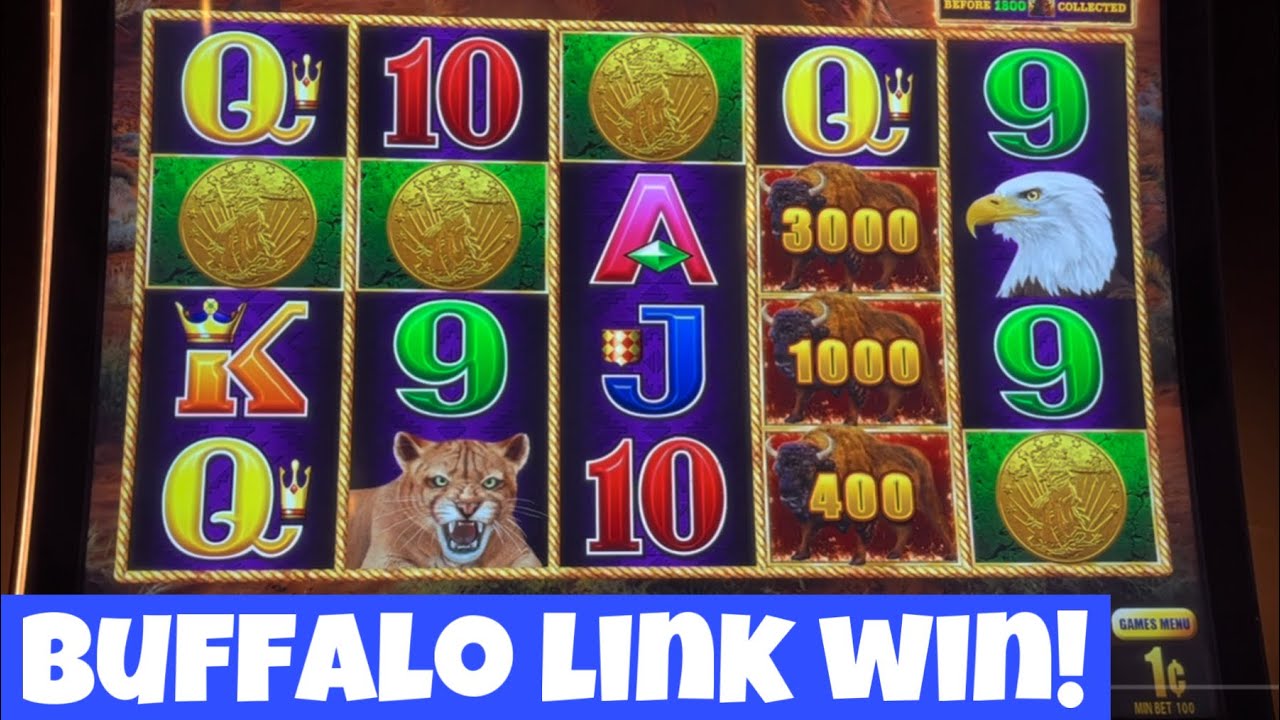 BUFFALO LINK BIG WIN! PLUS STUFFED COINS WITH @sisteryoshi #yaamava #casino #slotmachine #bonus Video