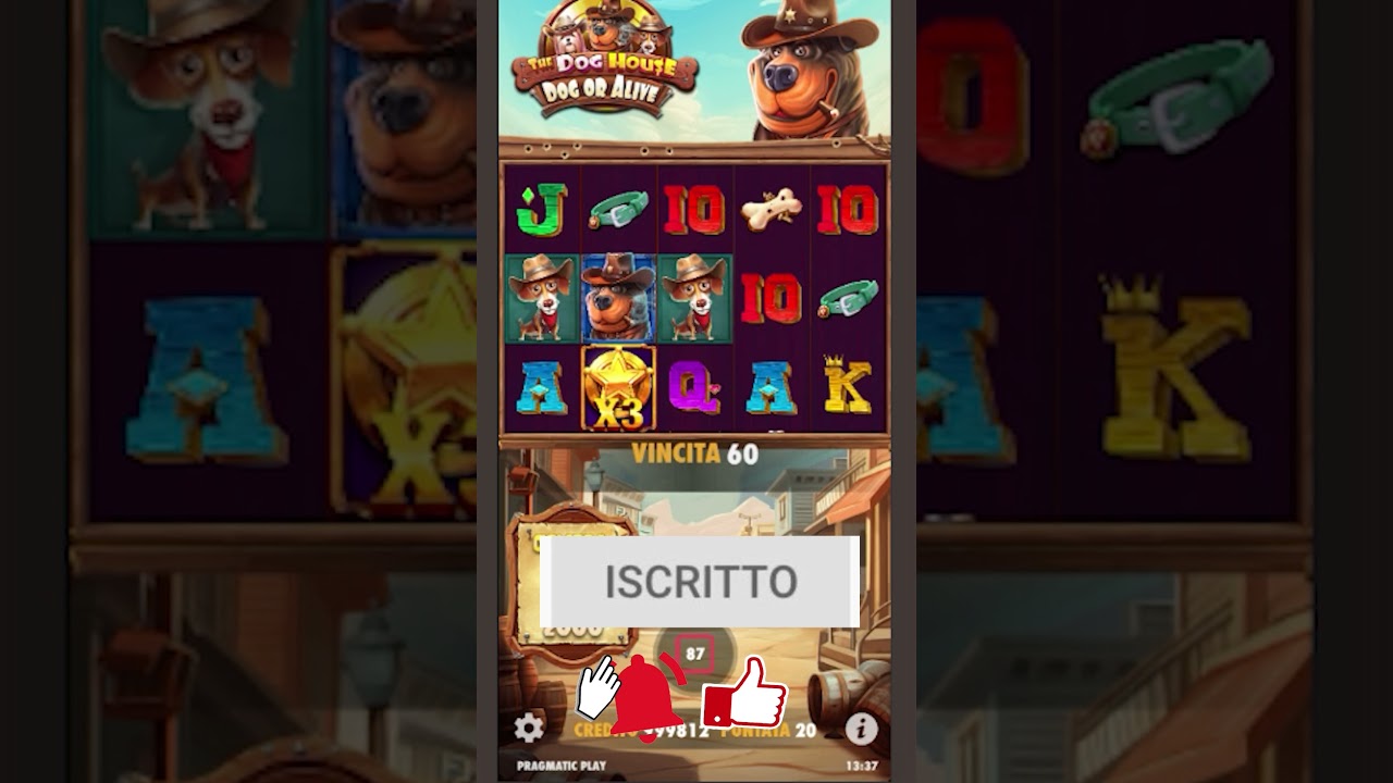 BIG WIN SU The Dog House|SLOT CLUB ITALIA slots shorts short bigwin Video