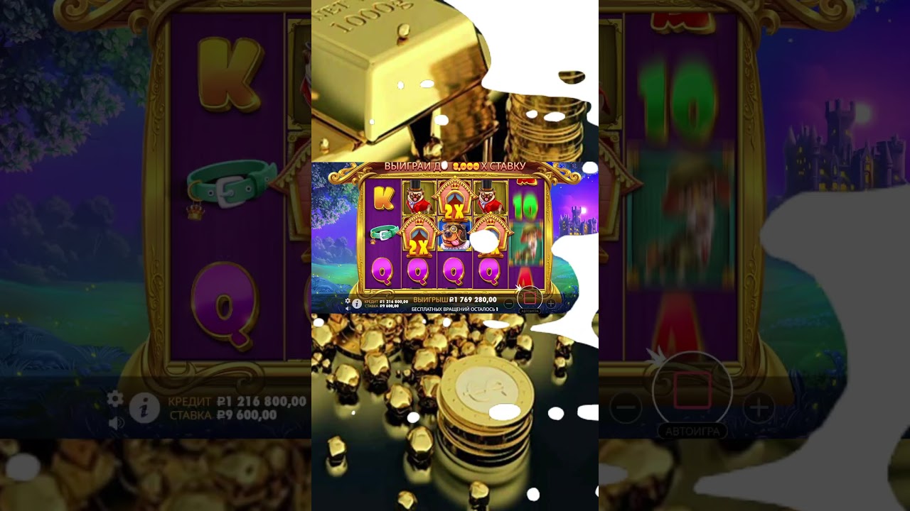 Не ожидал такой выплаты от этого слота Dog House youtubeshorts Video