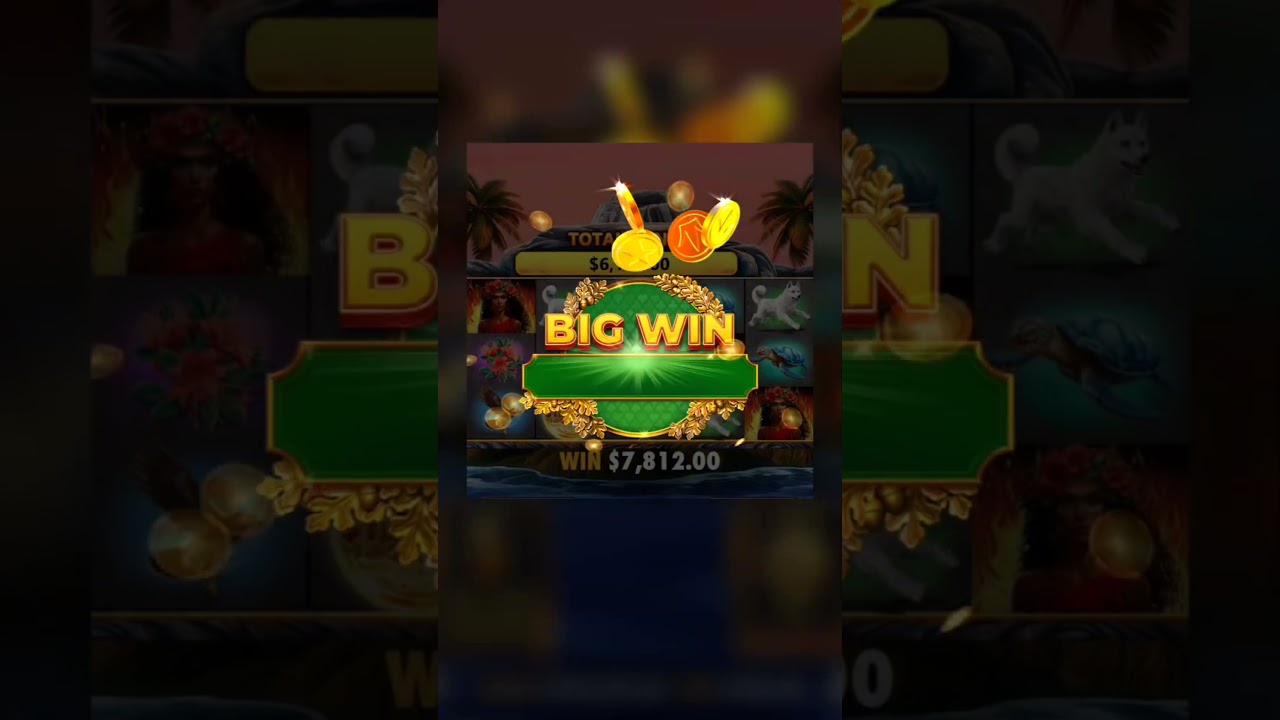 Big win revealed! Are you ready? bigwin slot gambling lasvegas casino Video