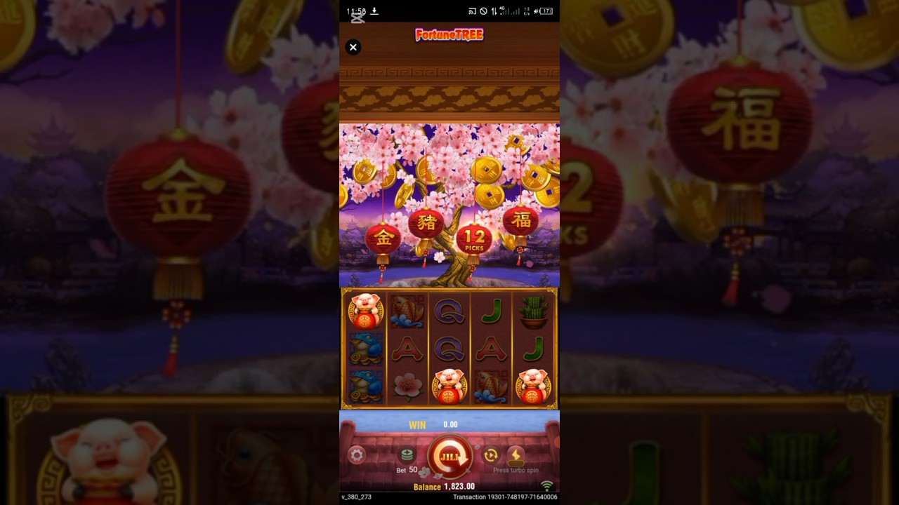 Fortune Tree Slot Gameplay | Big Win & Free Spin | Safe & Fun Play bigwin jackpot slot Video
