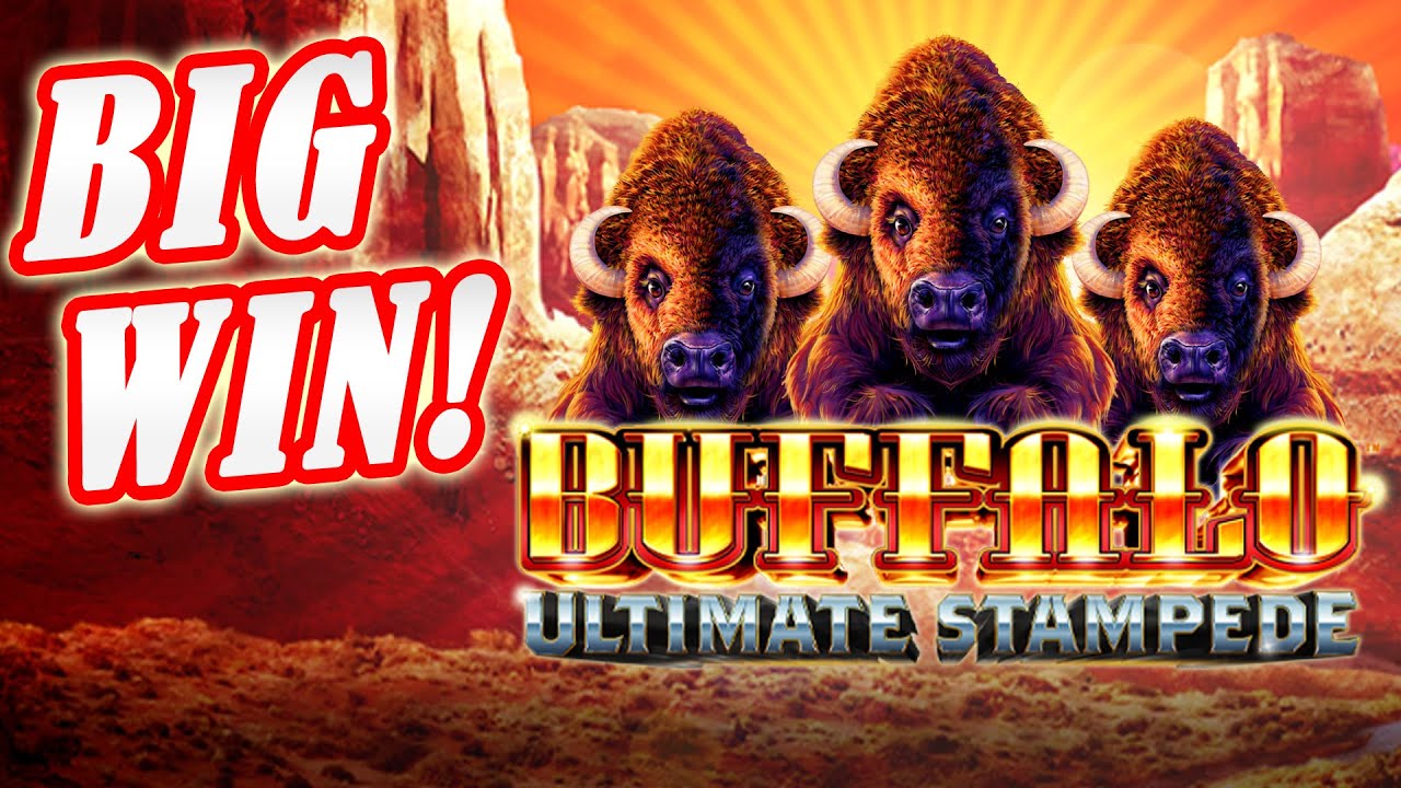 BIG WIN! Took It To The Top! Buffalo Ultimate Stampede Slot at Durango Casino in Las Vegas! Video