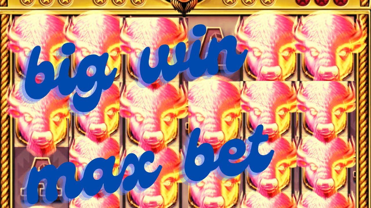 Big Win Alert! Buffalo Toro Bonus & Free Spins #slotmachine #gambling #casino # Video
