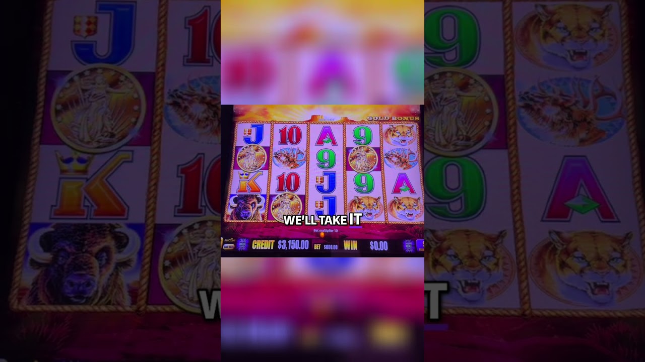 Buffalo Gold Slot Machine: Big Wins and Bonus Hopes! shorts Video