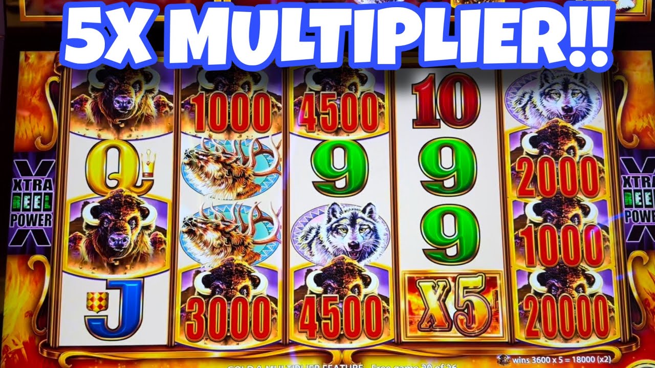 X Multiplier BIG WIN on Buffalo Gold Cash Collection! yaamava casino slots Video