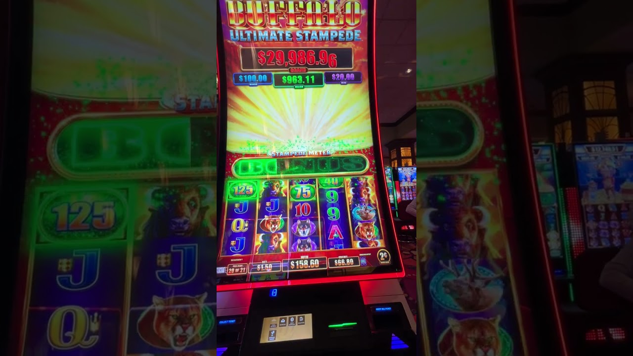 Buffalo Ultimate Stampede Big WIN! #slot #casinogame #casino #gambling #buffallo Video