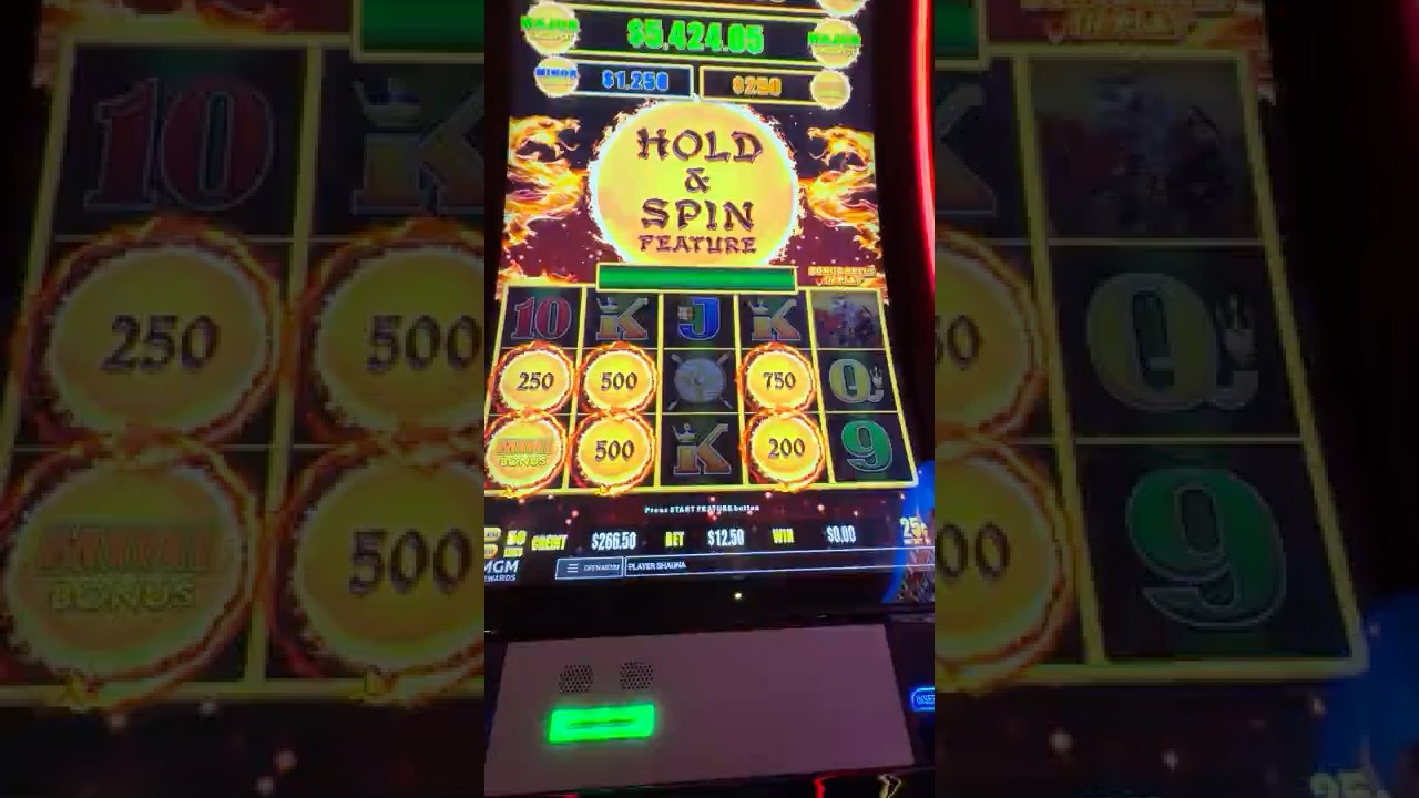 LAS VEGAS HIGH LIMIT DRAGON LINK: BIG BIG WIN! Video