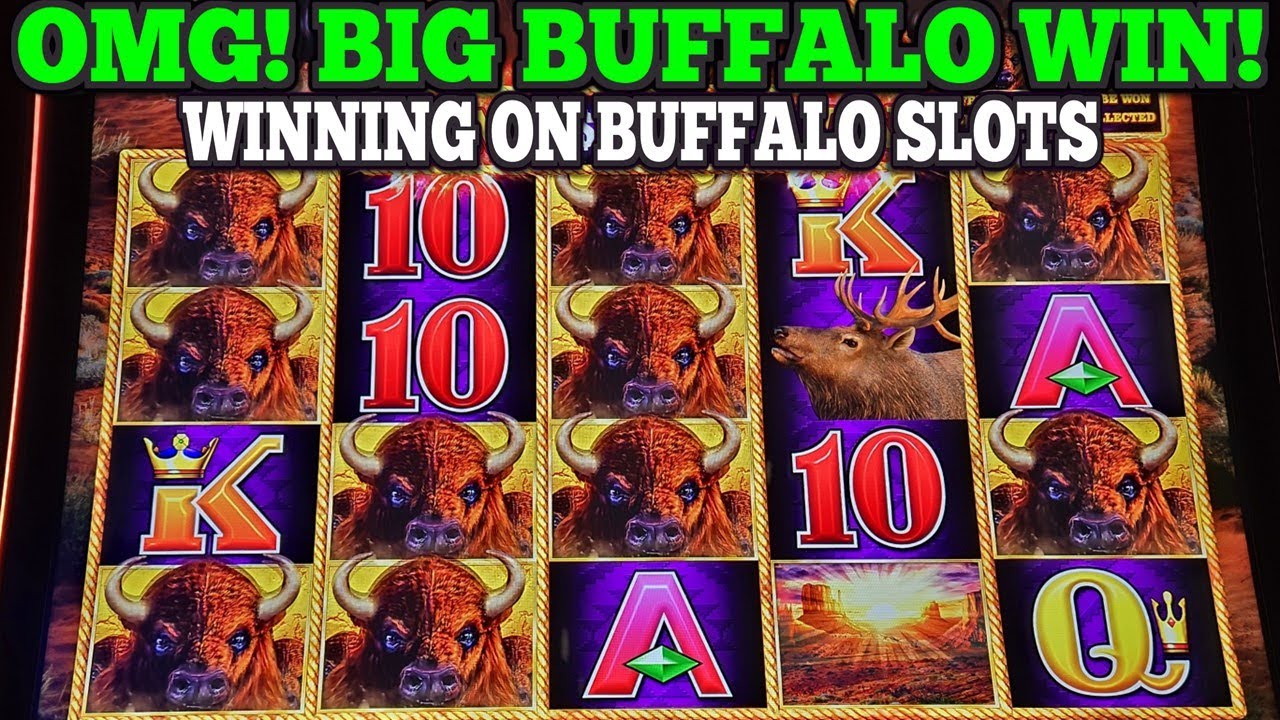 OMG! BIG BUFFALO LINE HIT ON BUFFALO LINK SLOT | BUFFALO GOLD CASH SLOT & BUFFALO GOLD SLOT WINS Video