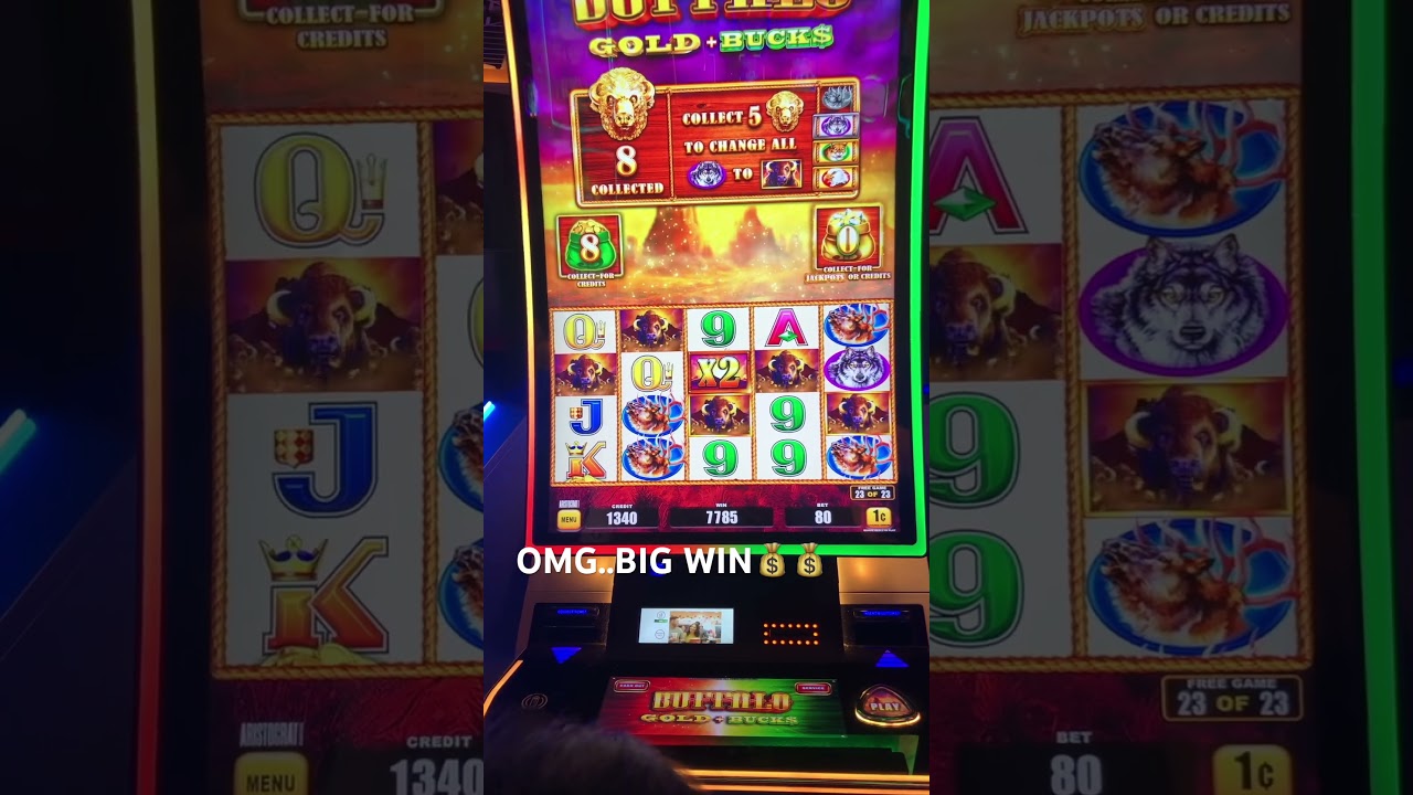 OMG..JACKPOT!! Big Win at Buffalo Gold shorts slots casino foryoupage foryou vegasslots Video