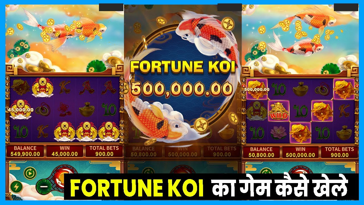 fortune koi slot fachai || fortune koi slot || fortune koi big win || fortune koi || fa chai slot Video