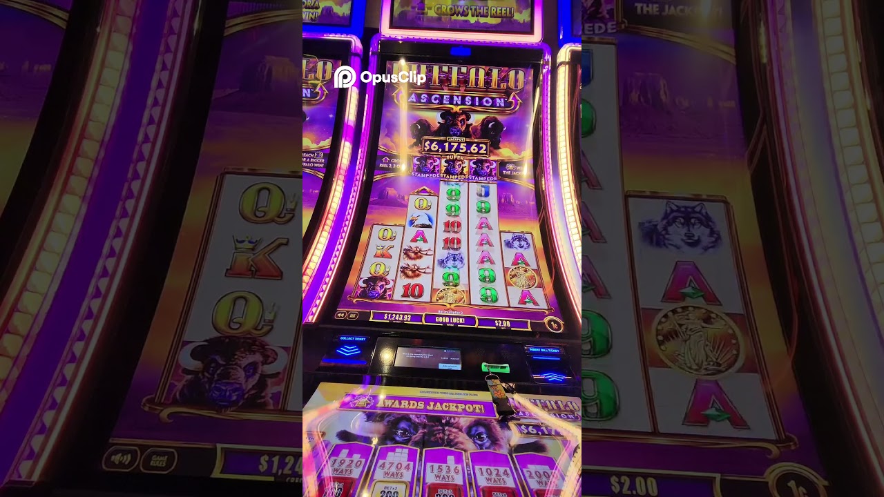 Slot Machine Wins Epic Spin Sequence! Video