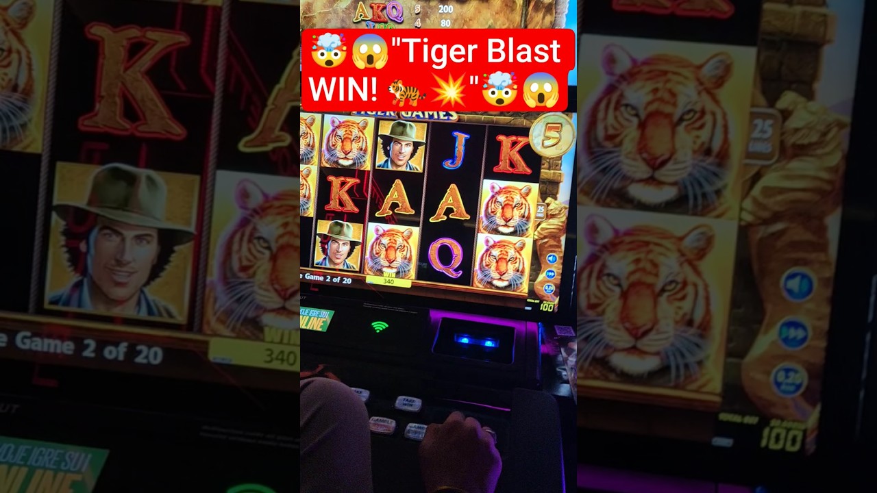 BIG WIN on Tiger Game | Unexpected Bonus Hit! youtubeshorts shortsfeed slot Video
