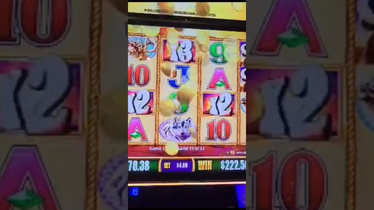 Big win at the carnival venezia casino Video