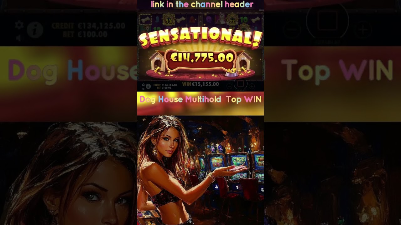 Big Wins Again: Dog House Multihold Slot Adventure! BigWins SlotGame OnlineSlots Video