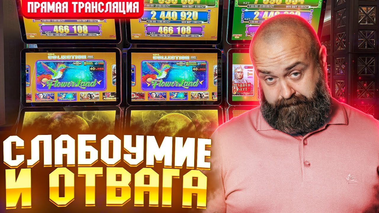 В погоне за БИГ ВИНОМ! хозяинказино bigwin slot Video