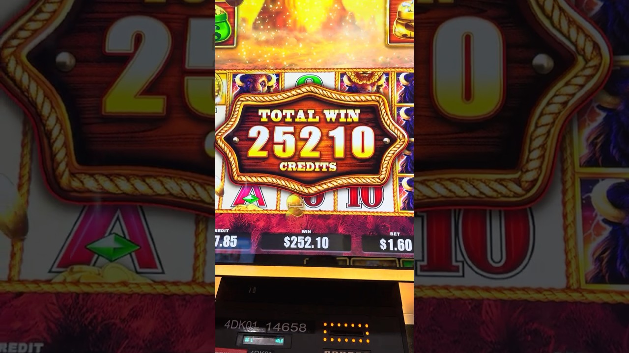 $252 WIN Christmas Day at Casino Video