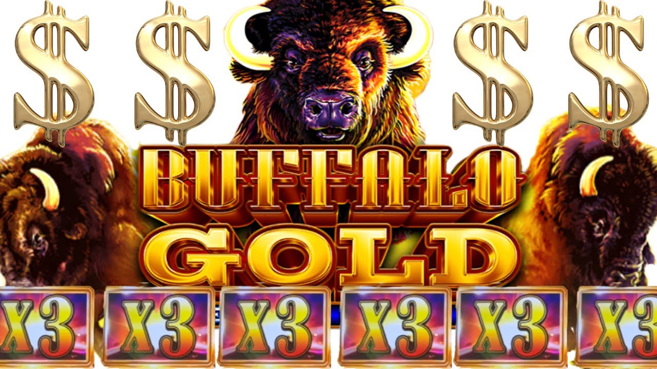More Buffalo Gold Action! Live Slot Play at Casino Video