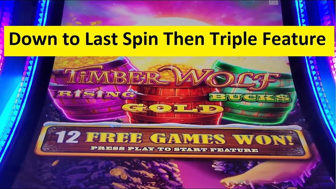 TimberWolf Triple Power Slot Super Big Win! Aristocrat Video