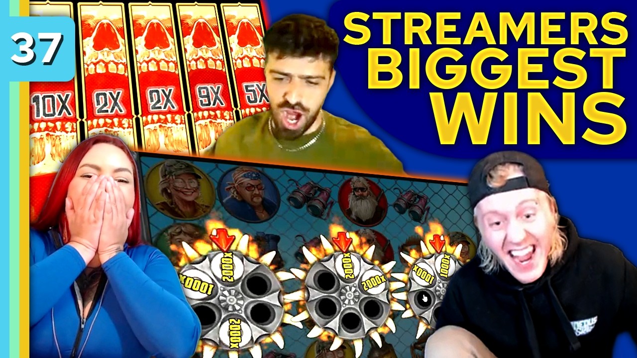 Biggest Slot Wins on Live Stream – / Video