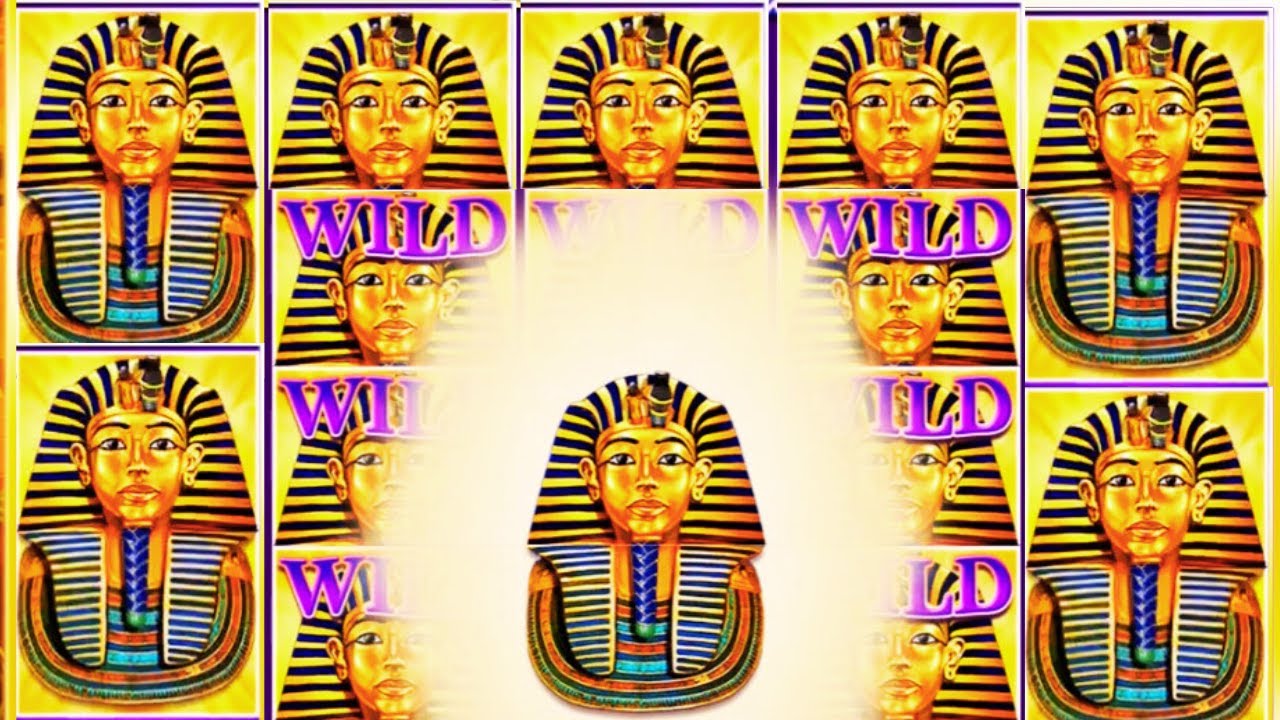 BIG WIN on Sphinx Wild Slot IGT Casino Action! Video