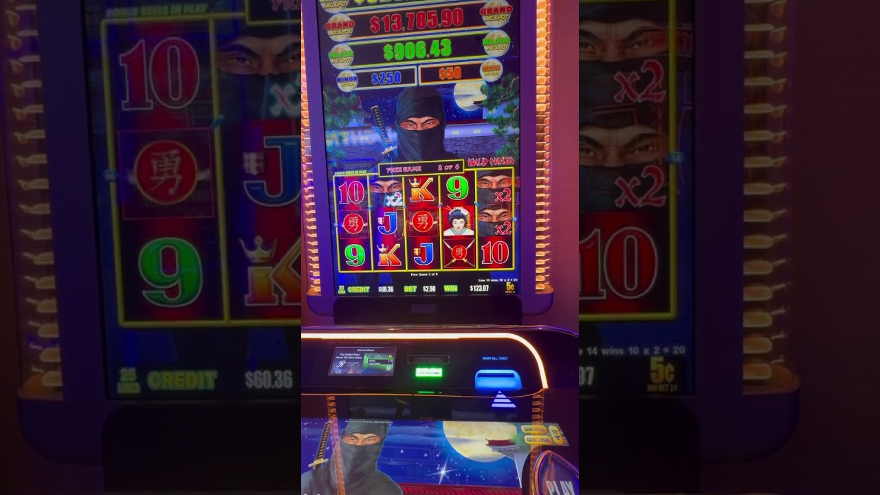 Multipliers Delivered a Big Win in the Bonus Video