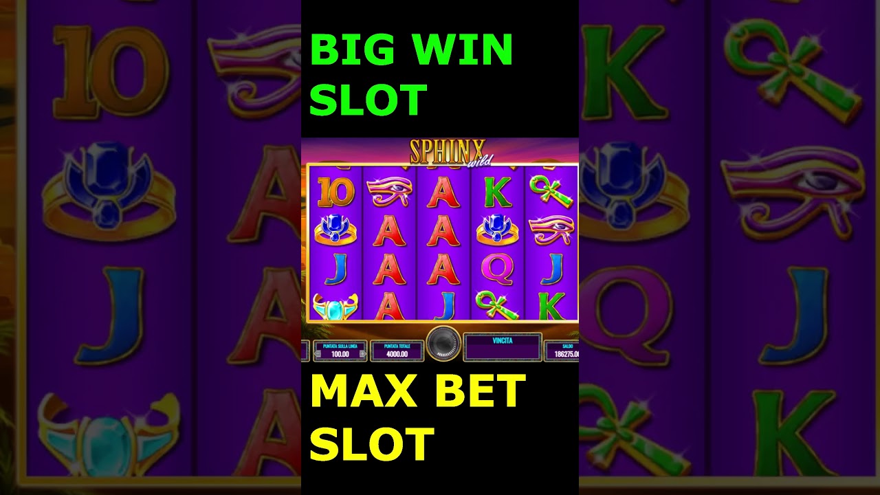 BIG WIN MAX BET SLOT SPHINX WILD Video