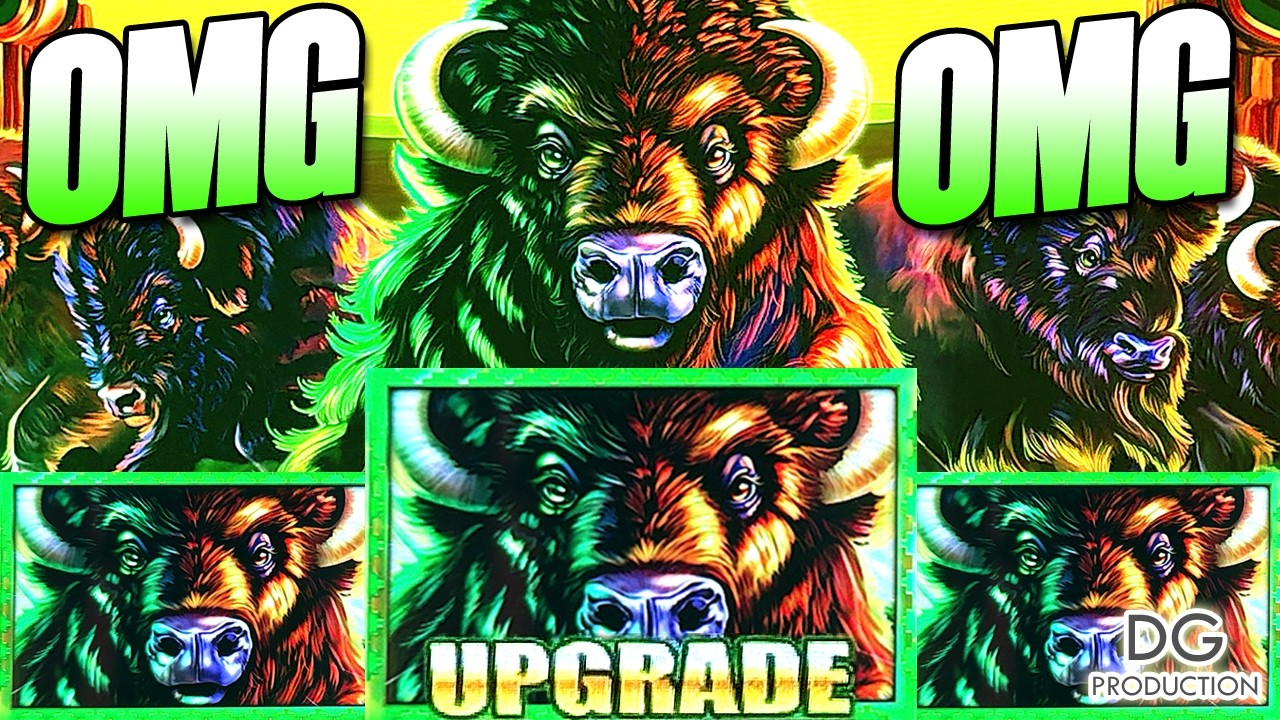 OMGFINALLY CRAZY UPGRADE BUFFALO COIN TRIO BOUNTY BIG WIN SLOT MACHINE LAS VEGAS LUCKIEST CASINO Video