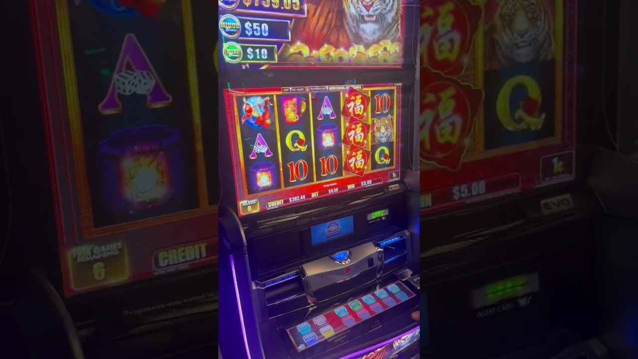LYRICAL GETS THE BONUS ON TIGER SLOT! NO BIG WIN! #slot #casino #winning #live #youtube Video