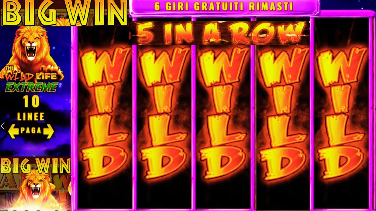 BIG WIN on SLOT WILD LIFE EXTREME INSANE BONUS on IGT Provider! Video