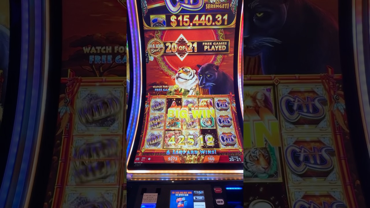 Big Win On Cats Major 21 Free spins 3 Rows Of Wilds. Video