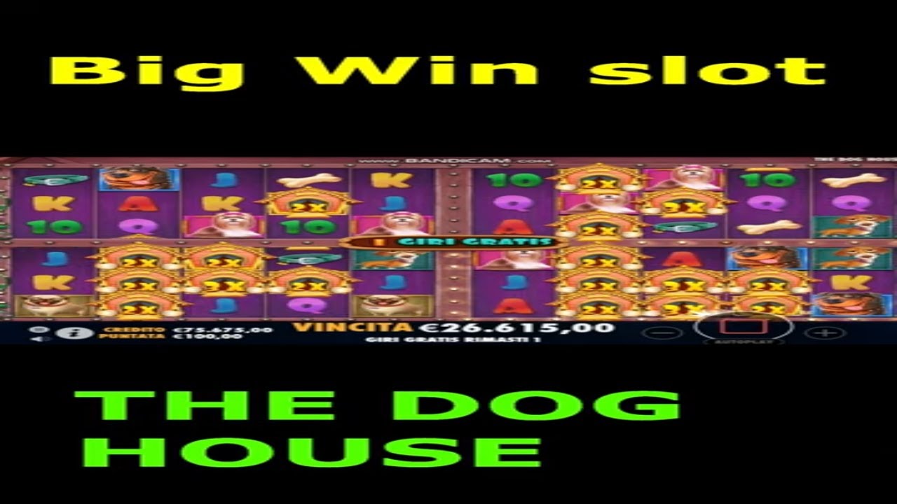 BIG WIN SLOT DOG HOUSE MULTIHOLD SHORTS Video