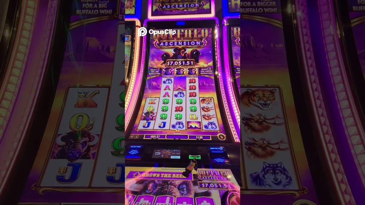 S | Buffalo Ascension Slot Machine Big Win Video
