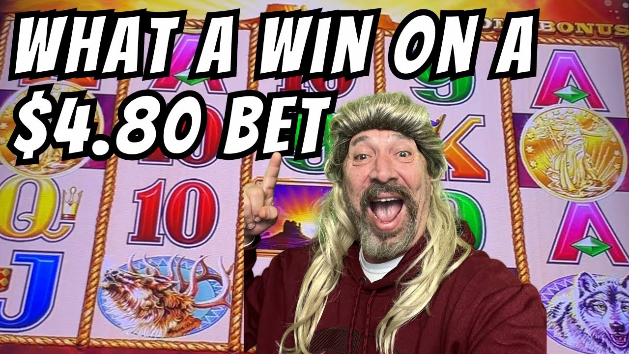 Moving Your Bet Up On Buffalo And Get A Big Win k Video