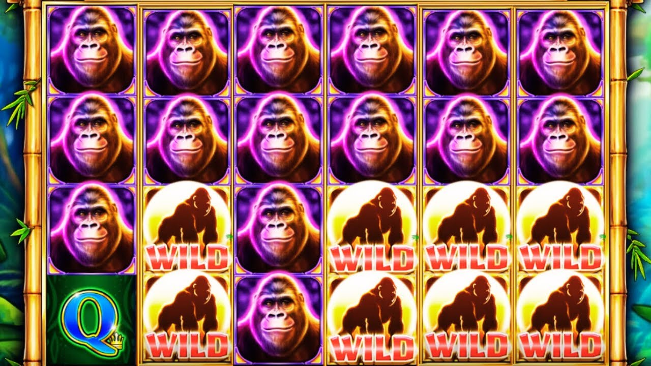 BIG WIN on KONG WONDER WILDS Slot! Giant Wilds & Jungle Bonus Madness! Video
