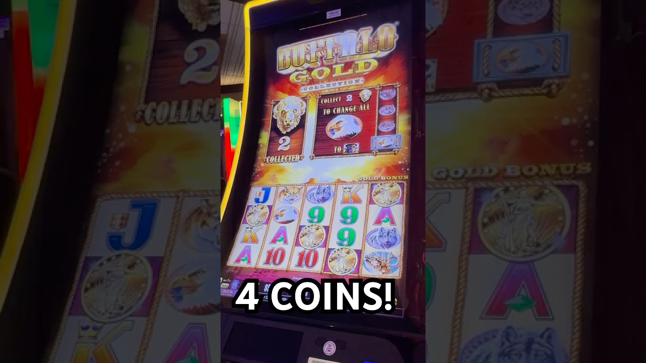 BIG WIN on MAX BET Buffalo Gold Video