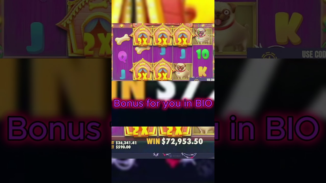 WOW! BIG WIN in DOG HOUSE BONUS in BIO! casino jackpot gambling bet slots casinoonline Video