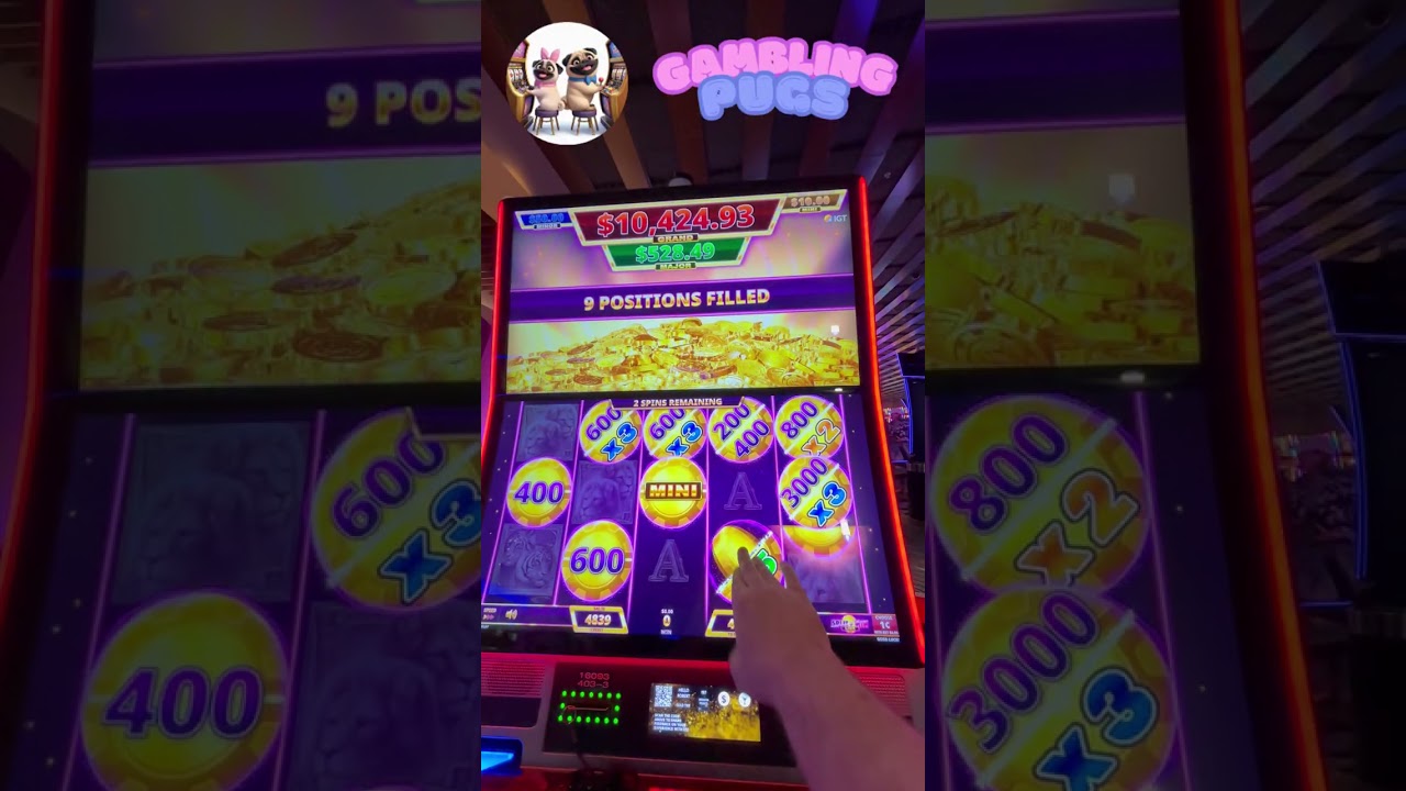 Big Wins on Split N Win Link CATS Slot Machine | Big Bonus Hit! | Gambling Pugs Video