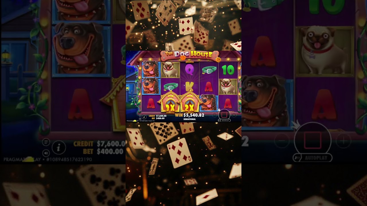 The Dog House GREAT WIN #slot #casino #lucknow #bigwin #luckygameplay #slotmachine Video