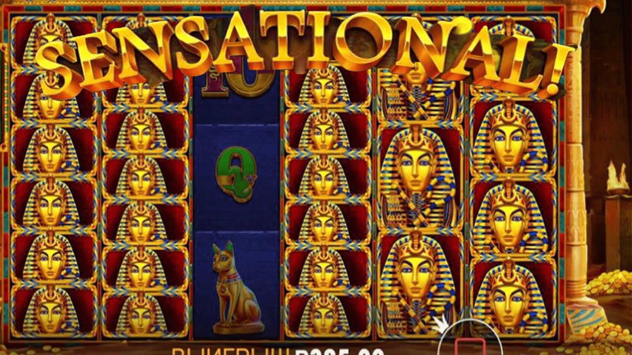 Big Win in book of tut megaways. Online casino 2023 Video