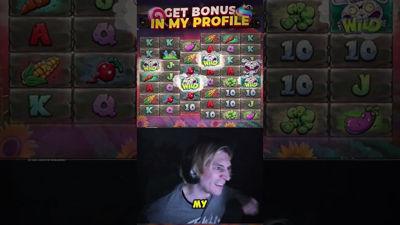 WON MAXWIN maxwin casino slots gambling bigwin igaming winmoney gamble Video