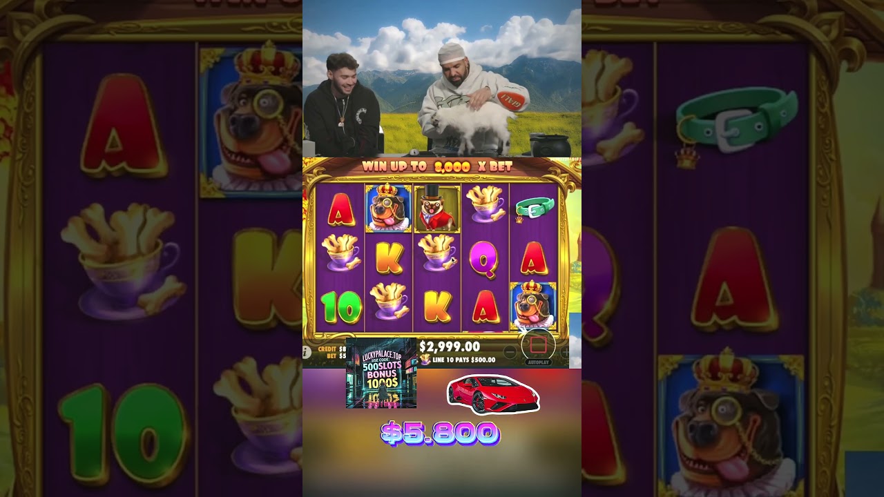Huge Casino Payouts Casino BigWin Slots Video