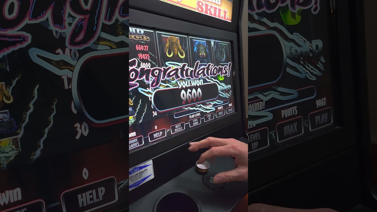 Wild Beast PA Skills Machine Bonus Picking Game Big Win Slot Machine Video