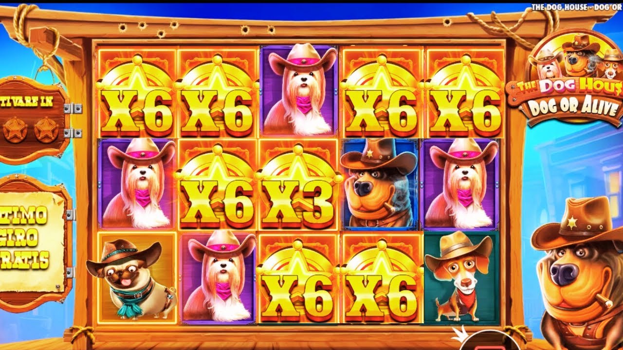 BIG WIN on The Dog House Slot! Huge Payouts and Maximum Fun! Video