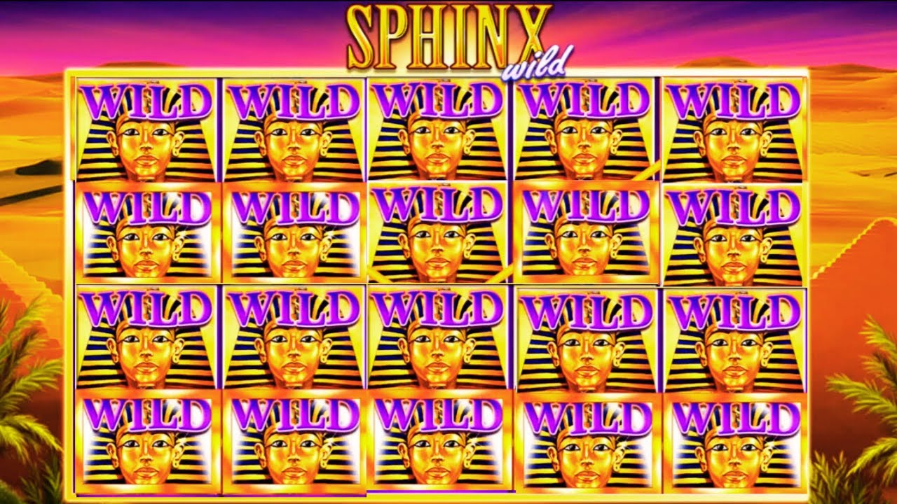 NEW BIG WIN on Sphinx Wild Slot by IGT! Unearth Ancient Treasures and Huge Payouts! Video