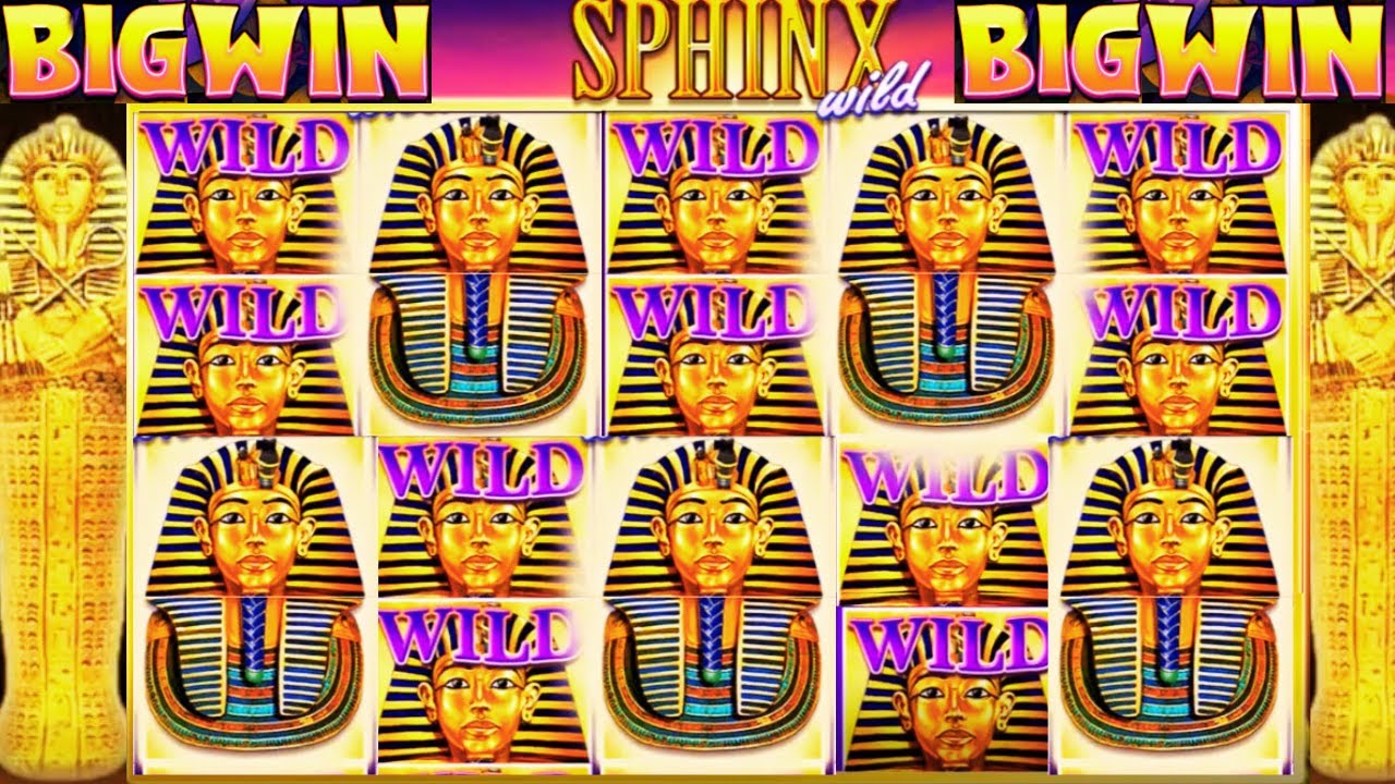 BIG WIN SLOT on Sphinx Wild! Explore Ancient Riches with IGT Provider! Video